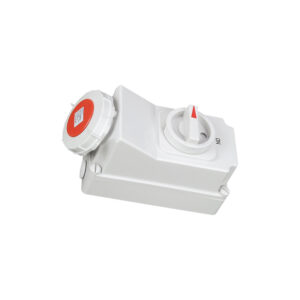 International standard socket with switches and mechanical interlock